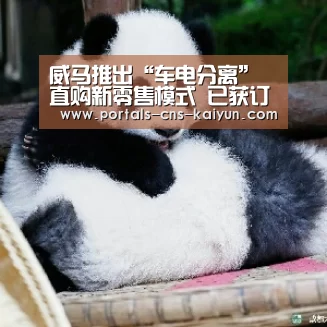 开云综合服务