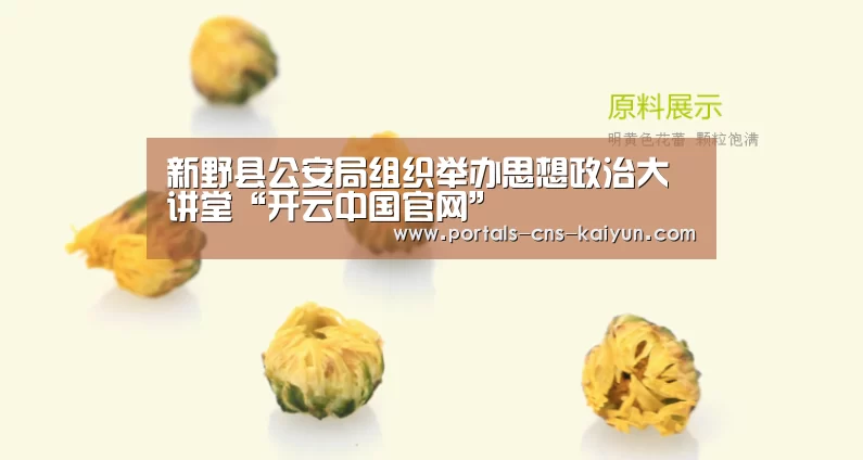 开云中国官网